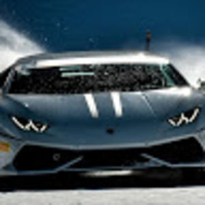 Meet your Posher, Ronnie